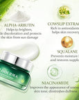 Aloderma Brightening Facial Cream - Made with 69% Organic Aloe Vera - Natural Skin Brightening Squalane & Niacinamide for Flawless Complexion, 1.7oz