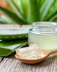 Naturevibe Botanicals Aloevera Oil 32 Ounces | 100% Pure and Natural | Great for Skin Care and Hair Care
