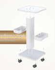 Upgrade Esthetician Beauty Trolley Cart with Wheels and 2 Trays, 4 Tier Beauty Rolling Cart, Spa Salon, Beauty Machine Trolley, Load 135lbs, 26.7 x 13.8 x 15 inch