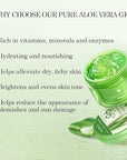 Aloderma Organic Aloe Vera Gel for Face Made within 12 Hours of Harvest, 96% Pure Aloe Vera Gel for Skin, Scalp, & Hair, Soothing Aloe Face Moisturizer, Multipurpose, Hydrating Aloe Gel, 7oz, 3-Pack