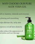 Aloderma 99% Organic Aloe Vera Gel Made within 12 Hours of Harvest - Lightweight, Non-Sticky Aloe Gel for Face Body, Hair, & Scalp, After Sun Relief, Natural, Soothing Hydrating Aloe Gel, 10.6oz