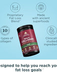 Ancient Nutrition Advanced Hydrolyzed Collagen Peptides Powder Protein Lean with Probiotics and Vitamin C, Cinnamon, for Women & Men, Supports Healthy Weight Management & Muscle Building, 25 Servings