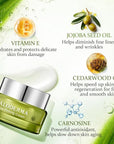 Aloderma Firming Cream for Face and Neck with 62% Organic Aloe Vera - Firming Face Cream with Hyaluronic Acid & Carnosine - Natural Renewing Aloe Face Cream - Instantly Hydrate & Plump Skin, 1.7oz