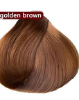 Brown Hair Dye Shampoo YIZHONG Light Golden Brown Hair Color For Gray Hair Coverage Permanent 3 in 1 For Women Men Easy Comb Dyeing Champu Para Canas( Golden Brown)