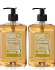 A LA MAISON French Liquid Hand Soap, Plumeria - Natural Hand Wash Made with Essential Oils - Biodegradable, Plant-Based, Vegan, Cruelty-Free, Alcohol & Paraben Free (16.9 oz, 2 Pack)