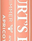 Burt's Bees Lip Balm, Moisturizing Lip