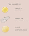 Jouer Soft Focus Hydrate & Setting Powder - - Light