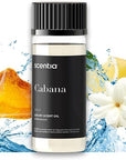 Scentia Hotel Diffuser Oil Inspired by 5-Star Hotel Scent - 50 mL 1.69 fl oz - Essential Oil Blend Botanical Jasmine, Bergamot & Fresh Marine Notes Aromatherapy Diffusers - Cabana, Thanksgiving Gift