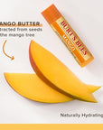 Burt's Bees Lip Balm - Mango, Lip Moisturizer With Responsibly Sourced Beeswax, Tint-Free, Natural Origin Conditioning Treatment, 2 Tubes, 0.15 oz.
