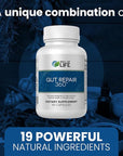 Gut Repair 360: Natural Formulated Formula Emerged from The Lab - Pure Essence Organic Capsules Non-GMO Gluten-Free Soy-Free Dairy-Free USA Made - Supporting Your Healthy Gut