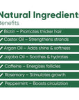 Seddy Hair Growth & Strengthening Oil with Caffeine, Rosemary, Castor, Biotin, Peppermint, Argan & Jojoba Oils - 1.7 Fl. Oz (Pack of 1)