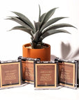 wet n wild Color Icon Bronzer Powder Palm Beach Ready