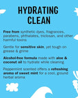 Molly's Suds Foaming Hand Soap - Made with Aloe and Coconut Oil | Moisturizing Hand Wash | Clean Ingredients, Infused with Essential Oils | Peppermint - 8.25 Oz (Pack of 3)