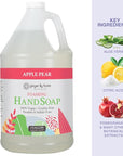 Ginger Lily Farms Botanicals All-Purpose Foaming Hand Soap Refill, 100% Vegan & Cruelty-Free, Apple Pear Scent, 1 Gallon (128 Fl.Oz)