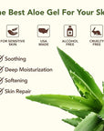 Amazing Aloe Vera Gel - Freshly Cut, 100% Pure Aloe, Premium Quality, Vegan, Unscented - Natural Sunburn Relief, After Shave, Skin, Face & Hair Care 8oz