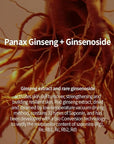 Alchemic Ginsenoside Contour Eye Serum,