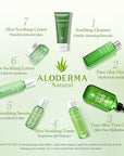 Aloderma Soothing Face Cream Made with 75% Organic Aloe Vera - Calming Facial Cream with Squalane & Vitamin E for Dry, Sensitive Skin - Reduces Redness, Helps Protect Damaged Skin, 50g/1.76oz