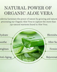 Aloderma Firming Cream for Face and Neck with 62% Organic Aloe Vera - Firming Face Cream with Hyaluronic Acid & Carnosine - Natural Renewing Aloe Face Cream - Instantly Hydrate & Plump Skin, 1.7oz
