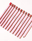Matte Lip Liner Pencil Set,12 Colors Natural Nude to Dark Waterproof Long Lasting No Fade Soft Pencils Lipstick Makeup Gift Set for Daily Travel Party Work (A)