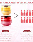 Honey Lip Balm Pot Lip Mask,