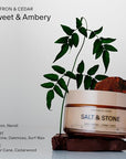 Salt & Stone Body Cream – Saffron & Cedar | Hydrating Formula with Seaweed Extracts, Spirulina & Squalane | Deep Hydration, Skin Barrier Support & Healthy Glow | for all Skin Types (6.7 fl oz)