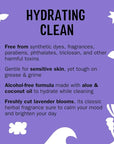 Molly's Suds Foaming Hand Soap - Made with Aloe and Coconut Oil | Moisturizing Hand Wash | Clean Ingredients, Infused with Essential Oils | Lavender - 8.25 Oz (Pack of 3)