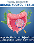 Gut Repair 360: Natural Formulated Formula Emerged from The Lab - Pure Essence Organic Capsules Non-GMO Gluten-Free Soy-Free Dairy-Free USA Made - Supporting Your Healthy Gut