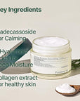 Pyunkang Yul PKY Calming Moisture Nourishing Cream Instantly Soothes Sensitive Skin, Face Moisturizer for Healthy Skin Vitality with Collagen, Vegan, Korean Skincare (1.69 Fl. Oz, 50ml)