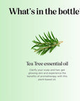 Pure Tea Tree Oil for Hair Skin and Nails - 100% Pure Undiluted Tea Tree Essential Oil with Dropper for Topical Uses Aromatherapy Diffusing and Home and Beauty DIYs - Vegan and Cruelty Free (1 Fl Oz)