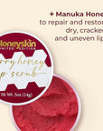 Lip Exfoliator Scrub and Lip Treatment Lips