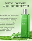 Aloderma 99.8% Organic Aloe Vera Face Hydrator Made Within 12 Hours of Harvest - Moisturizing & Hydrating Facial Toner for Oily Skin, Soothing Aloe Toner for Balanced, Smooth Skin Texture, 240ml, 6ct
