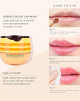 Honey Lip Balm Pot, Honey Lip Exfoliator