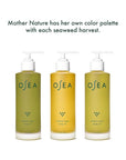 OSEA Undaria Algae™ Body Oil 5 oz - After Shower Body Oil - Non-Greasy Body Serum & Fast Absorbing Skincare - Clean Beauty & Vegan Seaweed Body Moisturizer for Dry Skin