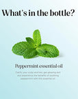 Peppermint Essential Oil for Diffuser Aromatherapy - 100% Pure Peppermint Oil for Hair Skin and Nails Plus Undiluted Refreshing Aromatherapy Essential Oil for Diffusers Baths and Topical Uses 4oz