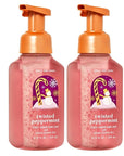 Bath & Body Works, Gentle Foaming Hand Soap, Twisted Peppermint (2-Pack)