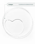 ATTITUDE Oceanly Light Coverage Under Eye Concealer Stick, 0.2 Ounces