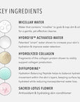 HydroPeptide HydroActive Cleanse, Micellar Facial Cloths, Gently Cleanses Skin, Hydrating and Nourishing, 30 Count