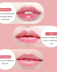 6 PCS Hydrating Lip Balm Aloe