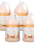 Ginger Lily Farms Botanicals Moisturizing Shampoo for All Hair Types, Coco Mango, 100% Vegan & Cruelty-Free, Coconut Mango Scent, 1 Gallon Refill (Pack of 4)