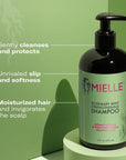 Mielle Organics Rosemary Mint Strengthening Hair Oil and Shampoo