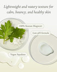 APRILSKIN Artemisia Squalane Hydra Gel Cream | Dry, Sensitive, Acne-Prone Skin | Vegan, Cruelty Free, Low pH, Soothing & Firming up | 50 ml | No sulfates and Artificial Fragrance