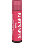 Burt's Bees Lip Tint Balm Stocking Stuffers Gifts, Long Lasting 2 in 1 Duo Tinted Balm Formula, Color Infused with Hydrating Shea Butter for a Natural Looking Buildable Finish, Petal Rose (2-Pack)