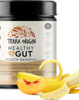TERRA ORIGIN Healthy Gut Peach Banana | 30-Servings with L-Glutamine, Zinc, Glucosamine, Slippery Elm Bark, Marshmallow Root and More!
