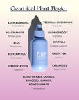Undefined Beauty R&R Sun Creme Broad Spectrum SPF 50 Untinted Moisturizing Sunscreen with Ceramides, CoQ10, Niacinamide, Resveratrol to hydrate and protect dry skin, 1.7oz