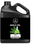 Naturevibe Botanicals Amla Oil 32 Ounces | 100% Pure and Natural | Great for Skin Care and Hair Care