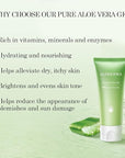 Aloderma Organic Aloe Vera Gel - 1.5oz, Unscented, Hydrating, Soothing, Cooling, Instant Relief for Skin & Sunburn, USDA Organic