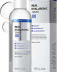 WELLAGE Real Hyaluronic Toner 100 - Korean Facial Toner with 93% Ultra Low Molecular Hyaluronic Acid - Moisturizing, Hypoallergenic, Skin Irritation-Free, K-Beauty Skincare, 6.76 fl.oz.