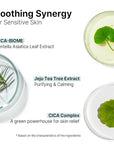 AVCA Quick Calming Cica Tea Tree Serum for Clarified and Even-Looking Skin 100ml/3.38Oz