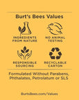 Burt's Bees Lip Balm - Mango, Lip Moisturizer With Responsibly Sourced Beeswax, Tint-Free, Natural Origin Conditioning Treatment, 2 Tubes, 0.15 oz.