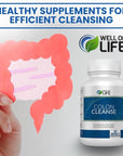 Well of Life: Colon Cleanse: Aloe Vera, Cascara Sagrada, Rhubarb Root, Bentonite. Helps in Digestion, Helps Relieves Constipation. 700mg | 60 Vegetarian Capsules. Vegan, Non-GMO. USA-Made.